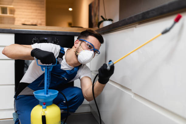 Best Affordable Pest Control Services  in Minorca, LA