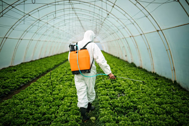 Pest Control for Restaurants in Minorca, LA