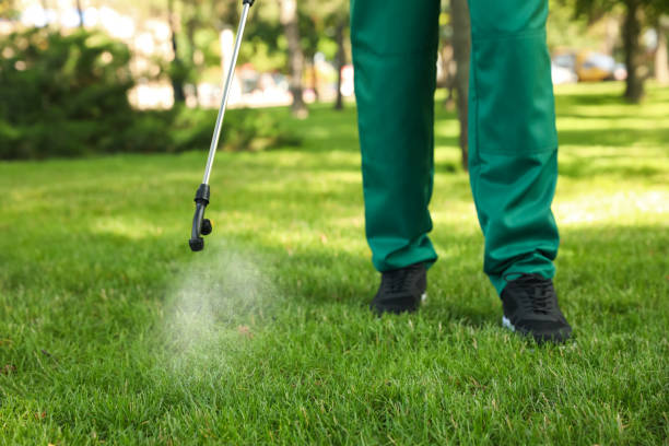Best Bed Bug Extermination  in Minorca, LA