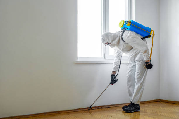 Best Pest Control for Restaurants  in Minorca, LA