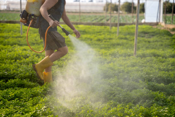 Best Best Pest Control Companies  in Minorca, LA