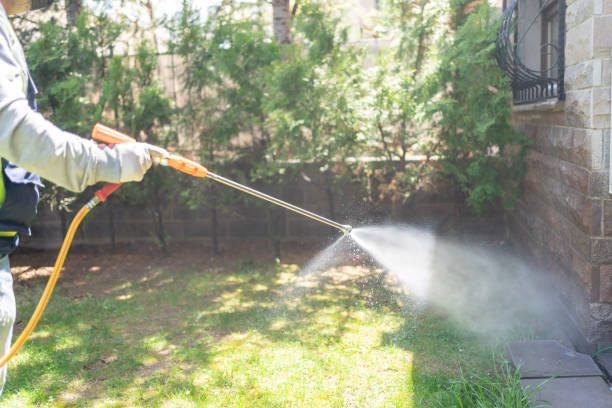Best Pest Inspection Near Me  in Minorca, LA