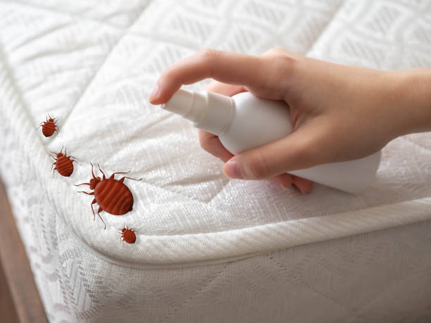 Minorca, LA Pest Control Company