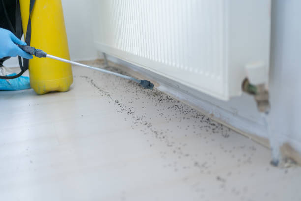 Best Commercial Pest Control Services  in Minorca, LA