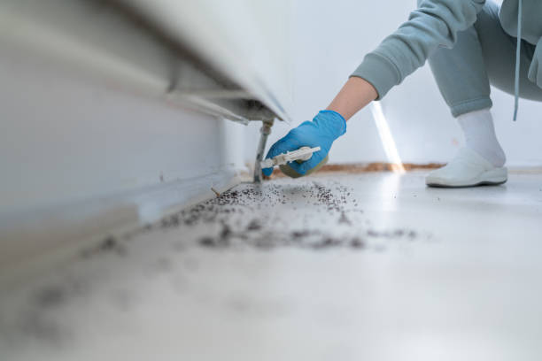 Best Residential Pest Control  in Minorca, LA