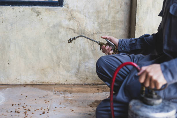 Best Affordable Pest Control Services  in Minorca, LA